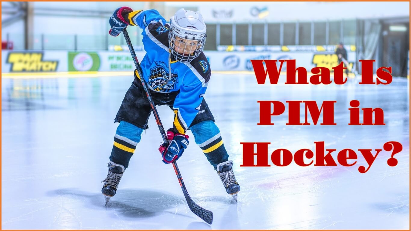 What Is PIM in Hockey?